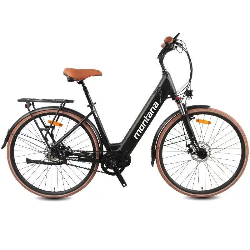 Urban Mid-Motor Lithium Electric Commuter Bike Revolution