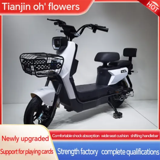 Fully Electric Bikes Urban Mobility Zero Emission Power