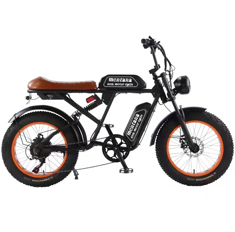 Shop Electric Bike with Cargo Capacity Shop Electric Bike with Cargo Capacity