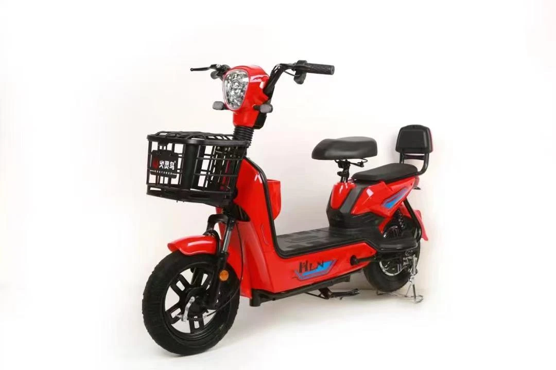 The Future of Transportation with Electric Bikes