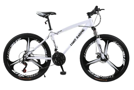 mountain bike 20