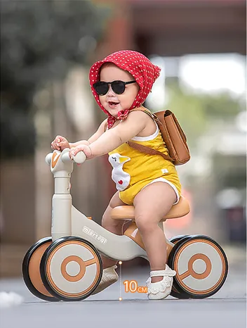 eco electric bike